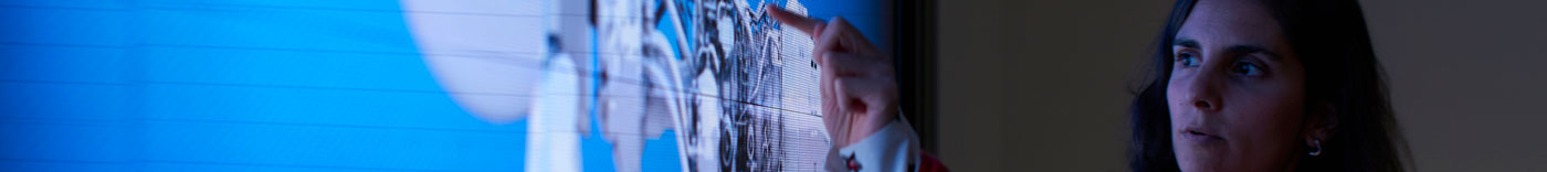 Bild zu Data Technical Specialist - Submarines